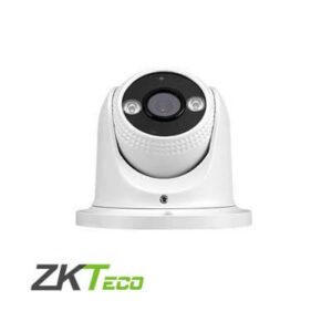 Camera Eyeball IP 2MP ZKTeco ES-852E31C-S3-S-HL